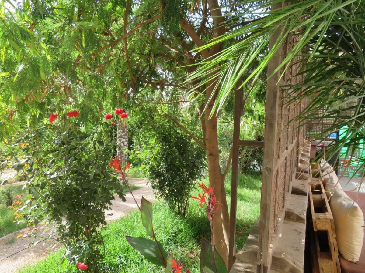 Ibis Tlemcen Hotel Luaran gambar